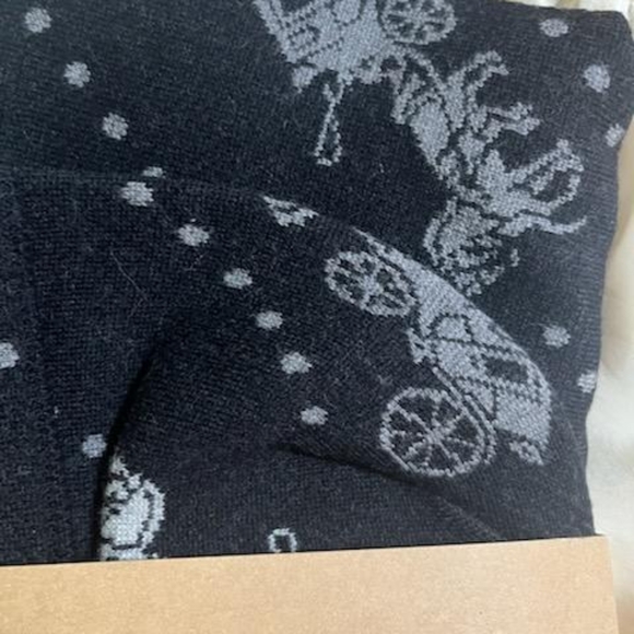 NWT Horse ๐ and Carriage Hat and Glove set - Picture 10 of 10